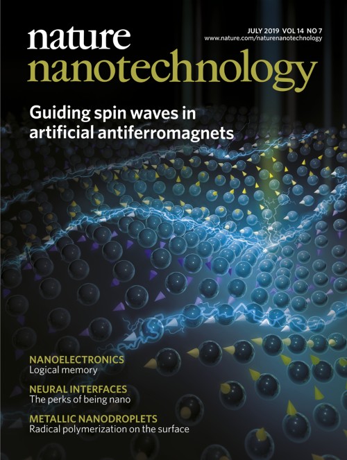 Nature Nanotechnology目次の表紙