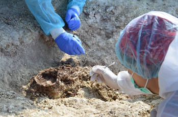 Sampling from the Tomb 351 Monte Sirai.