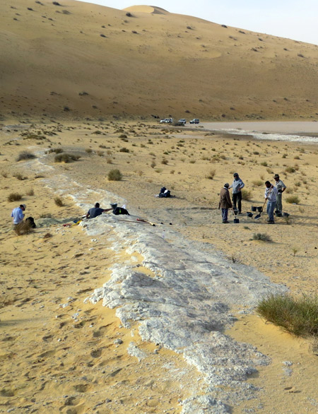 General view of the excavations at the Al Wusta site, Saudi Arabia. The ancient lake bed (in white) is surrounded by sand dunes of the Nefud Desert. 