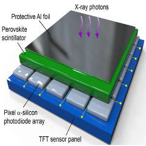Structure of an X-ray panel sensor