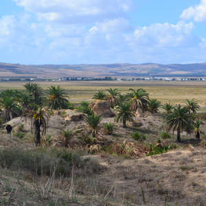 North view of Utica from the promontory to the Great Baths and the ancient marine bay.