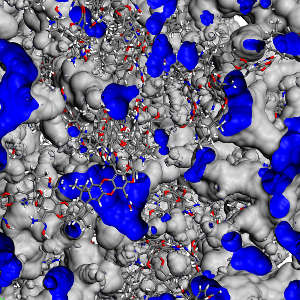 A representation of the complex internal surface of the porous membrane