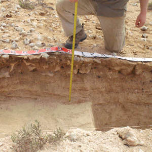 Shell mound comprising multiple mollusk shell layers.