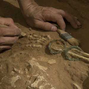 Excavation of the Philistine Cemetery at Ashkelon.