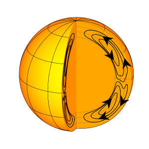 The results of a new helioseismology study suggest that the Sun’s meridional flow of plasma forms a closed loop in each hemisphere. The findings support the flux-transport dynamo model, which explains the sunspot cycle and the drift of sunspot emergence latitudes towards the equator.