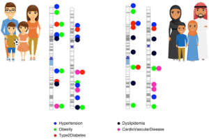 A comparison of GWAS data by an international team of scientists highlights significant differences in genetic risk loci for metabolic diseases between Arab and European populations.