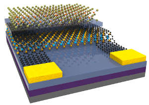 Schematic diagram of the device with the top layer of atomic structures (olive and red) representing the silver iodide and the middle layer (amber and blue) representing the tungsten diselenide semiconductor. The black atoms beneath represent a sheet of graphene.