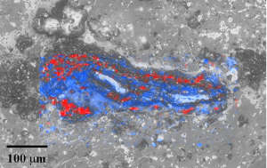 False colour map from Raman spectroscopy showing diamonds (red) and graphite (blue) in a ureilite sample.