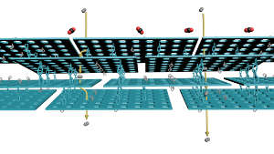 The membranes act as a sieve, permitting the passage of hydrogen (grey) but blocking carbon dioxide (red and black). The chains represent interlinked chemical groups.