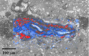 خريطة بالأشعة تحت الحمراء باستخدام جهاز مطيافية رامان تُظهر الألماس (باللون الأحمر) والجرافيت (باللون الأزرق) في عينة نيزك من النوع يوريليت.
