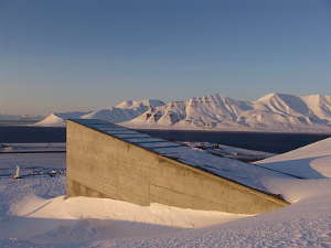 ICARDA was among the first depositors when the Svalbard Global Seed Vault opened in 2008, managing to duplicate more than 80 percent of its seed collection in Syria by the time the last staff were forced to leave in 2014.