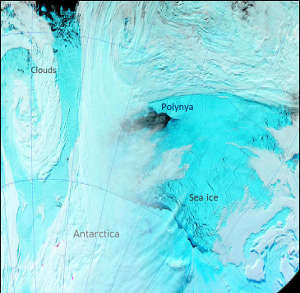 The Weddell Polynya seen from space a few days after it opened in September 2017. Sea ice in blue and clouds in white.