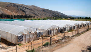 صوبات زراعية في محطة تربل في لبنان