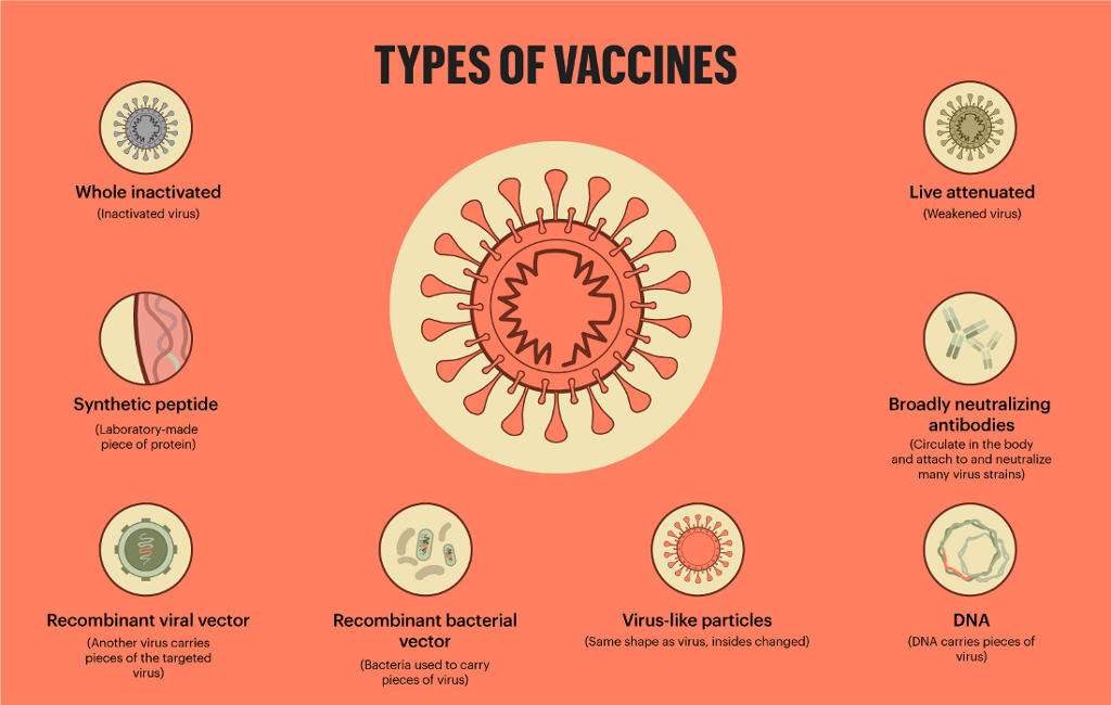 Different types of covid vaccines