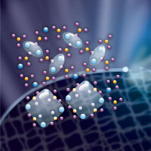 The chemical structure of SCBO undergoes a phase transition between a plaquette phase (bottom) and orthogonal dimers (top).