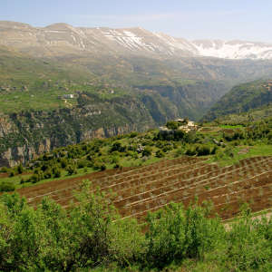 The results highlight a rapid expansion of the Levantine population over the past 15,000 years, linked to the development of agriculture in the north of the region.