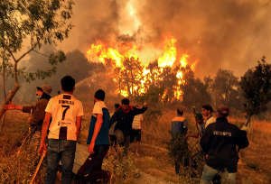 Villagers attempt to put out a wildfire in Achallam village, in the mountainous Kabylie region of Tizi Ouzou, east of Algiers, Algeria. Picture taken August 11, 2021.