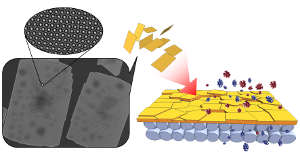 High-performance xylene separation membrane fabricated from flat zeolite nanosheets