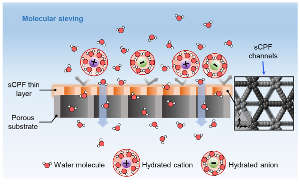 The membranes have a conjugated polymer framework on a solid substrate (sCPF) with tiny channels that only allow water molecules to pass.