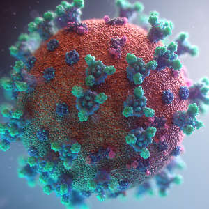 A visualization of the COVID-19 virus.