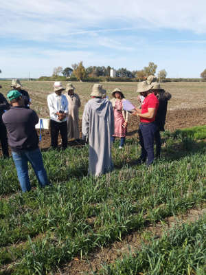 Field demonstrations are key to building awareness and confidence in conservation agriculture.