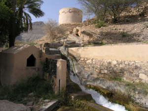 Image of aflaj in Omani village.