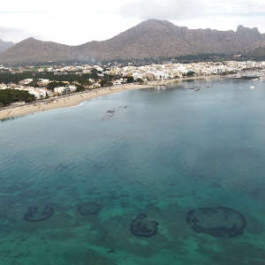 A seascape with seagrass patterns at the Bay of Pollença, on the Island of Mallorca, Balearic Islands, Spain.