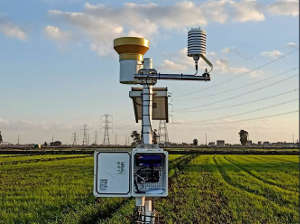 Accurate evapotranspiration measurements are crucial to manage water resources effectively and improve crop productivity. This weather station in Egypt measures parameters like temperature and rainfall.