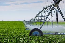 
Advanced agriculture techniques can increase yield five folds
