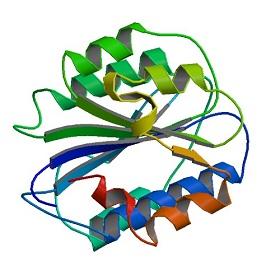 
A rendering of the vWF A-domain
