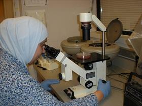 
Lubna Tahtamouni blames inadequate legislation from governments and family pressure for the obstacles that face women scientists.
