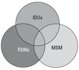 
A schematic diagram of the overlap between priority populations in MENA
