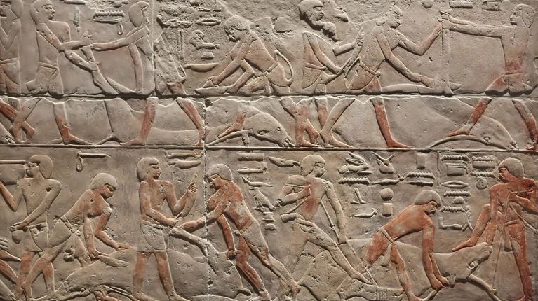 ترك عصر الدولة القديمة (2686-2125 قبل الميلاد) إرثًا كبيرًا من القطع الأثرية الخالدة، لكنه لم يخلِّف وراءه سوى القليل من الحمض النووي. 