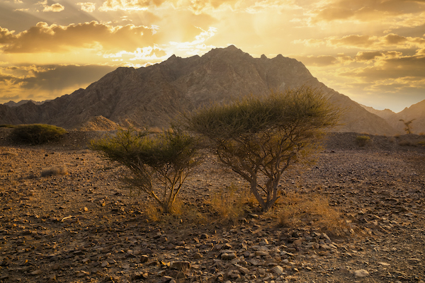Rocky desert in mountains, United Arab Emirates.