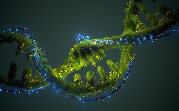 Credit: Just_Super/ E+/ Getty Images&nbsp;