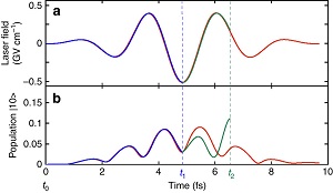 Laser-field control of asymmetric hydrogen bond breaking.