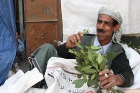 
A man chews qat in Sana'a, Yemen.
