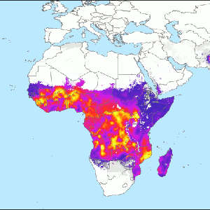 Plasmodium falciparum incidence 2000-2017