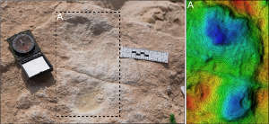 The first human footprint discovered at Alathar and its corresponding digital elevation model