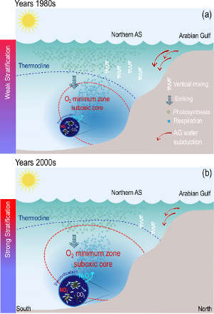 Oxygen changes in the northern Arabian Sea between the 1980s and 2000s.
