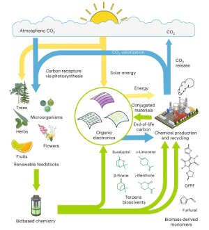 Terpene bio-solvents could help incorporate organic electronics into a sustainable circular economy processes