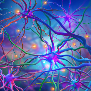 الشبكات العصبية للدماغ البشري (شكل توضيحي تجريدي لمراكز الأعصاب)