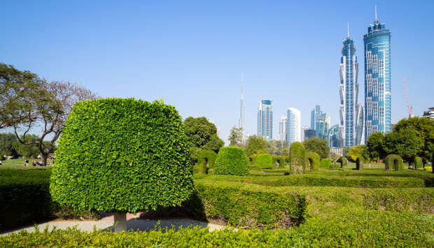 Finding solutions for cities on the frontline of climate change - Nature Middle East