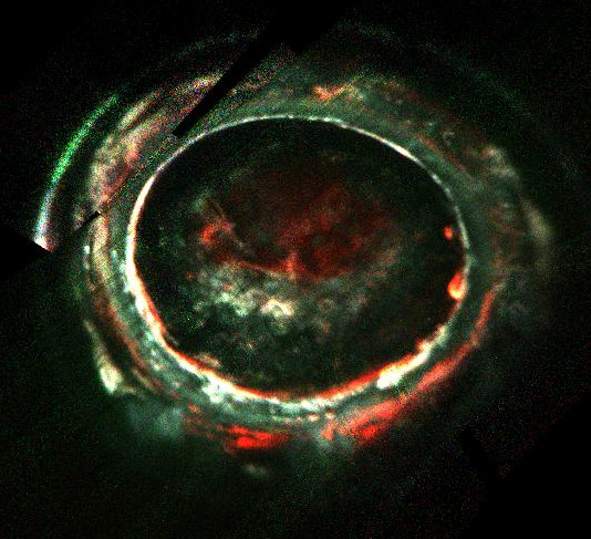 探査機ジュノーの紫外線分光計が撮影した、木星の南極領域のオーロラ。電子のエネルギー状態の違いが分かるよう、高・中・低エネルギーをそれぞれ赤・緑・青に色付けしている。