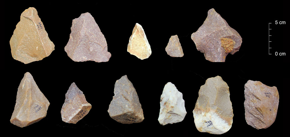 インドのアッティランパッカム遺跡で発見された、中期旧石器時代の石器。