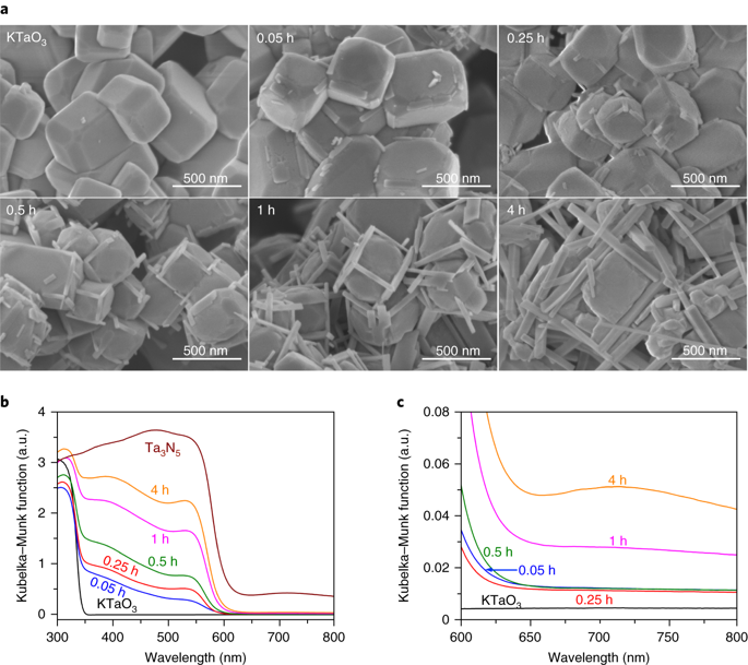 KTaO<sub>3</sub>粒子のエッジに成長させたTa<sub>3</sub>N<sub>5</sub>ナノロッド単結晶による水の完全分解