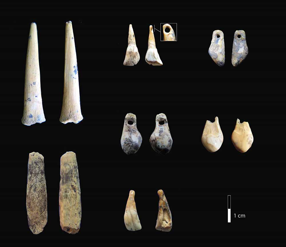 今回、放射性炭素年代測定が行われた、デニソワ洞窟の後期旧石器時代の層に由来する骨製の尖頭器と歯のペンダント。