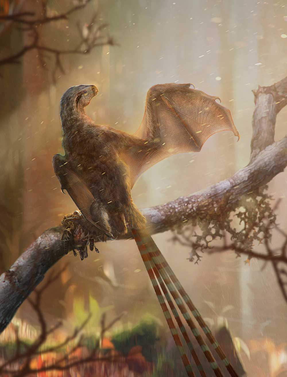 <i>Ambopteryx longibrachium</i>の想像図。