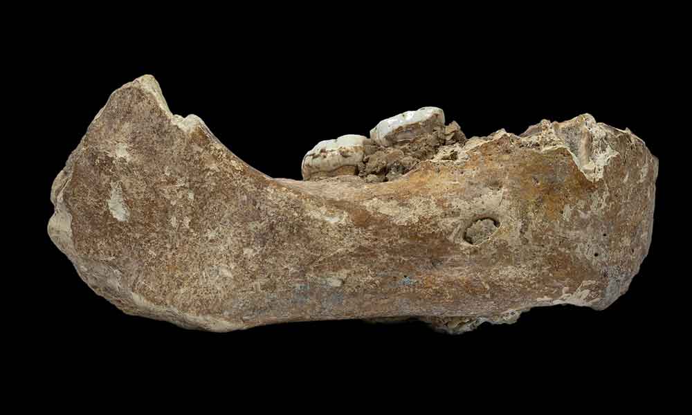 今回デニソワ人のものであることが明らかになった下顎骨。この化石は1980年に中国甘粛省夏河県の白石崖溶洞（Baishiya Karst Cave）で発見された。