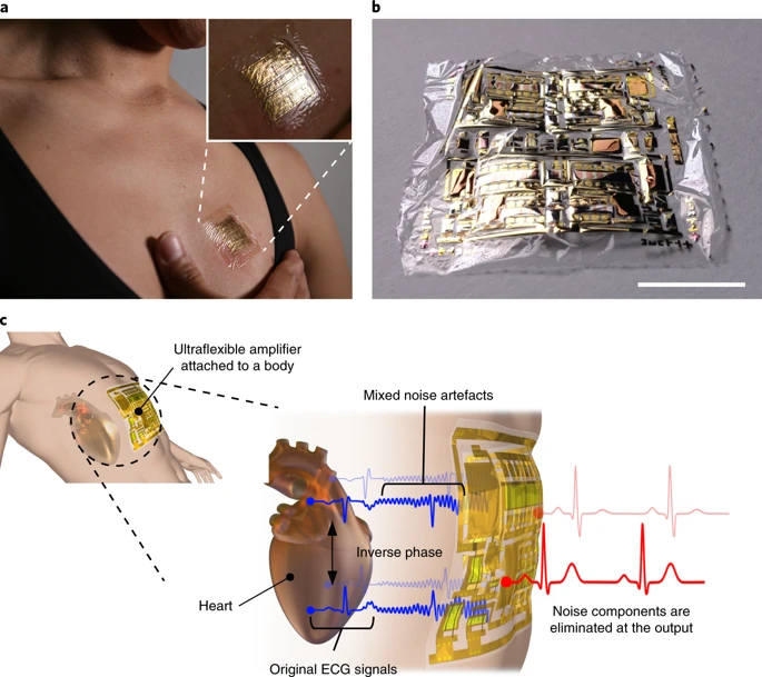 心電図を記録するウルトラフレキシブル有機差動増幅器